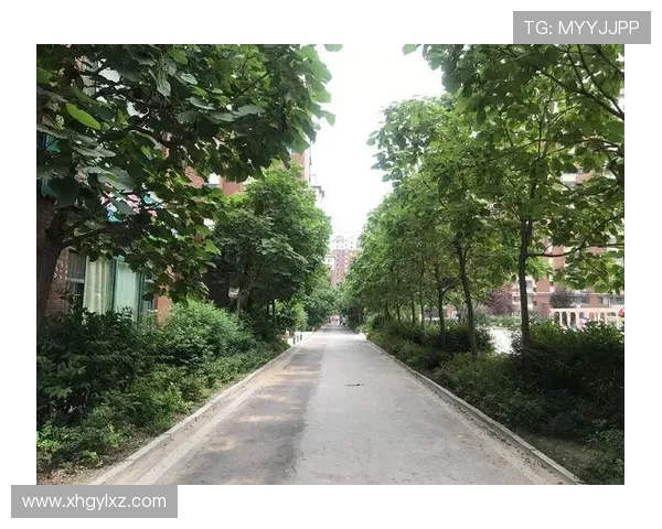 vinbet浩博首页指南:如何在平台上获取最佳奖金和优惠 vinbet浩博首页指南:如何在平台上获取最佳奖金和优惠