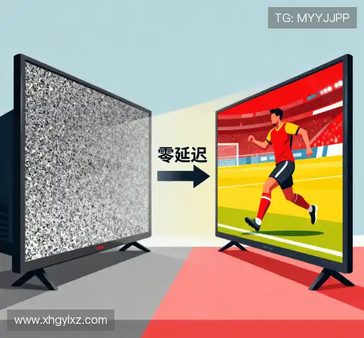 我们卓越的品质